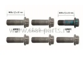 606097 КОМПЛЕКТ БОЛТОВ КРЕПЛЕНИЯ СУППОРТА M18x1,5x55 mm