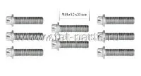202496 КОМПЛЕКТ БОЛТОВ КРЕПЛЕНИЯ КОРПУСА СКППОРТА VOLVO DUCO MERITOR 