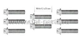 202496 КОМПЛЕКТ БОЛТОВ КРЕПЛЕНИЯ КОРПУСА СКППОРТА VOLVO DUCO MERITOR 